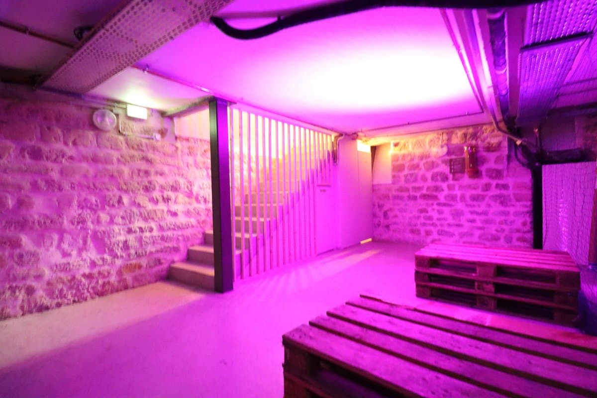 Bar Stamm 