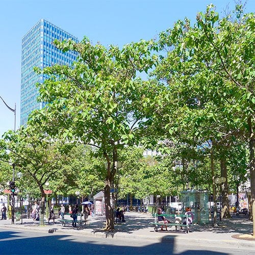 Jussieu